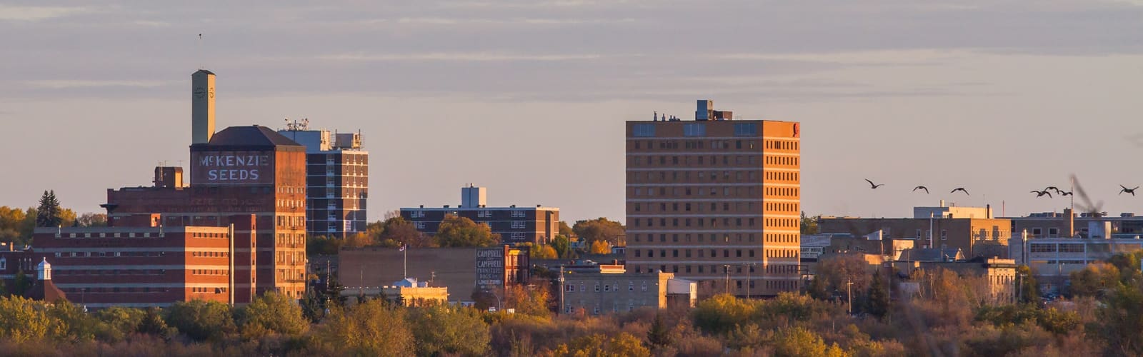 Brandon cityscape